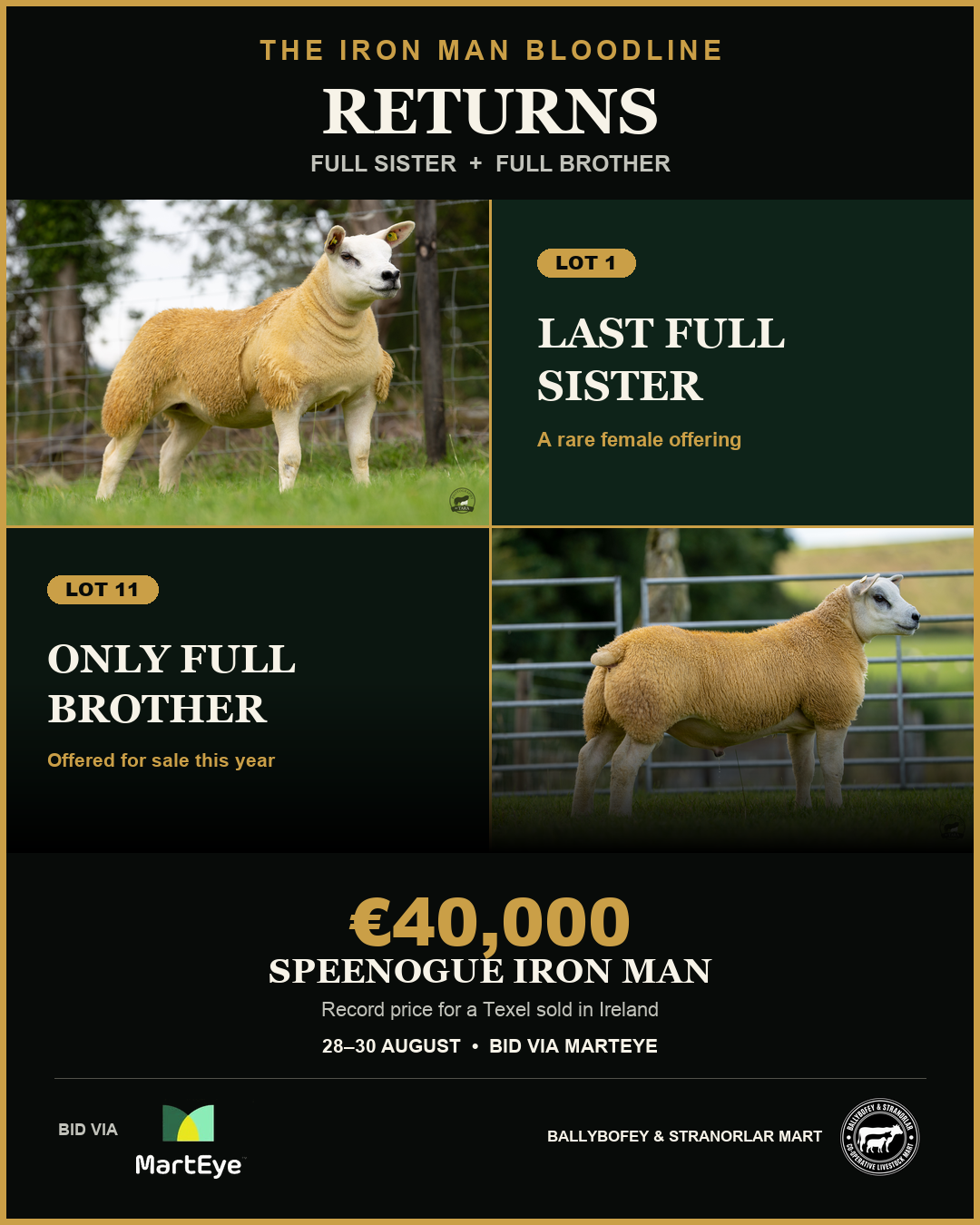 €40K Iron Man bloodline