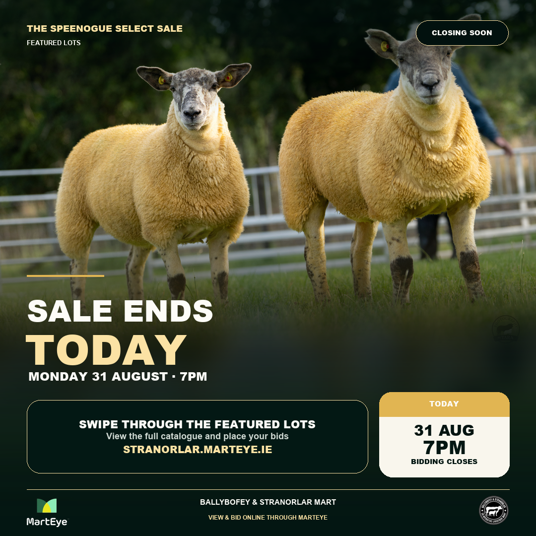 Sale Ends Today · Featured Lots card 1