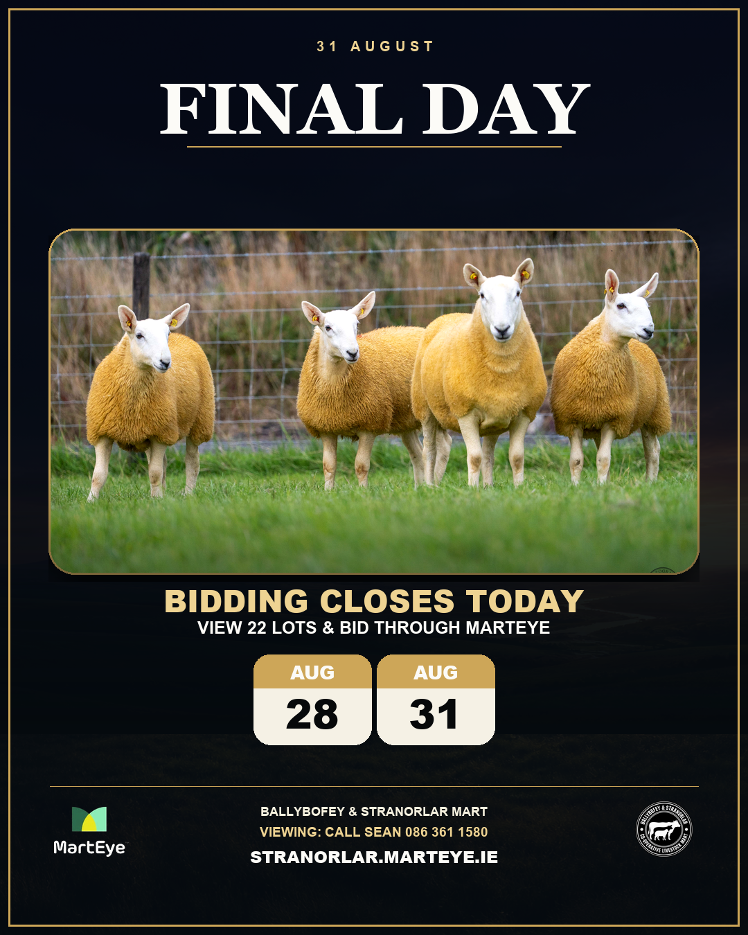 Final Day · Editorial