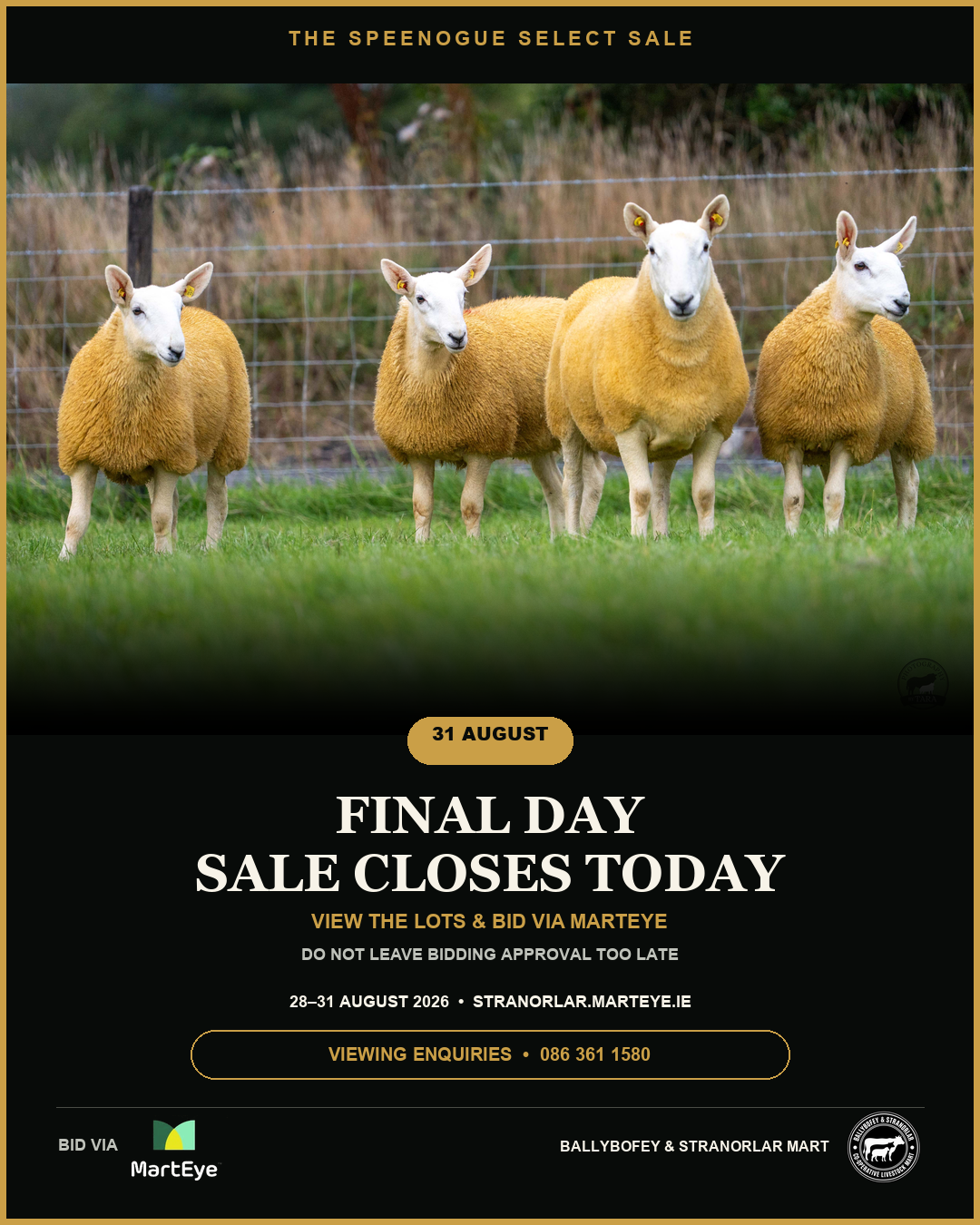 Final Day · Original