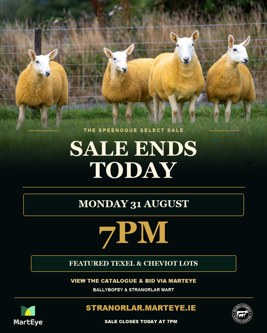 General Sale Ends Today at 7PM